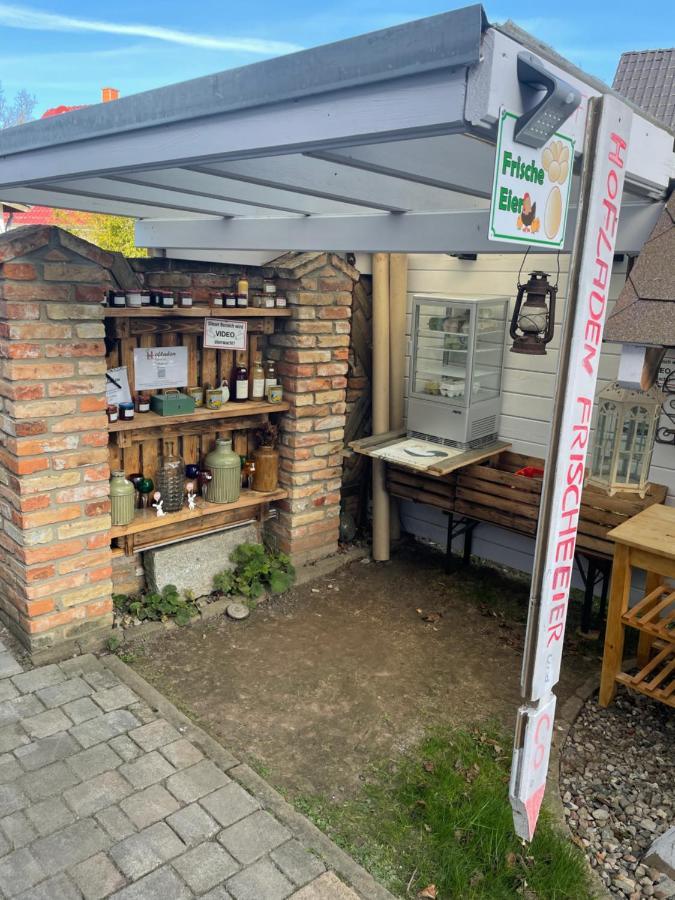Ferienwohnung An Der Ostsee エルメンホルスト エクステリア 写真